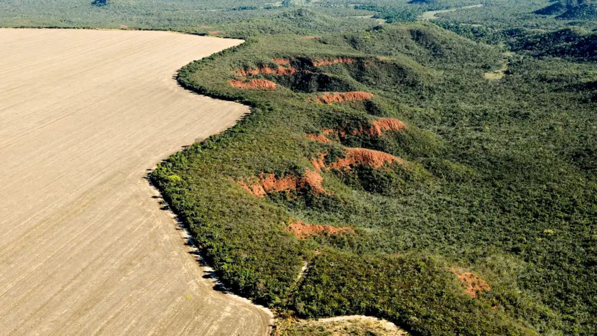 Desmatamento no Cerrado emite 135 milhões de toneladas de CO2 desde 2023