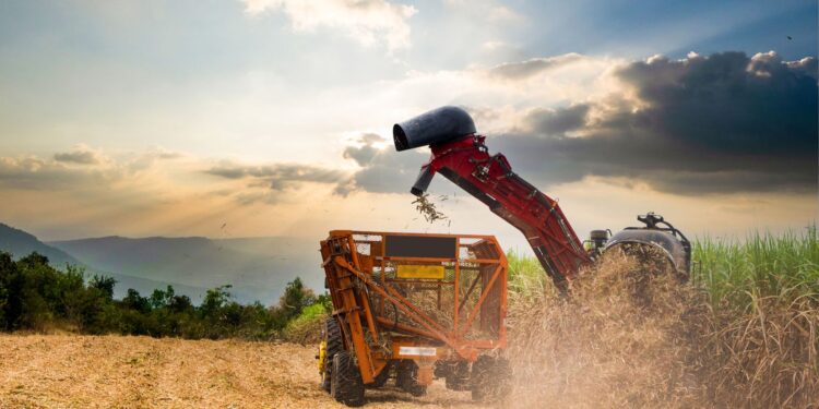 Câmara Temática de Gestão de Risco Agropecuário cria GTs focados em temas prioritários para o setor