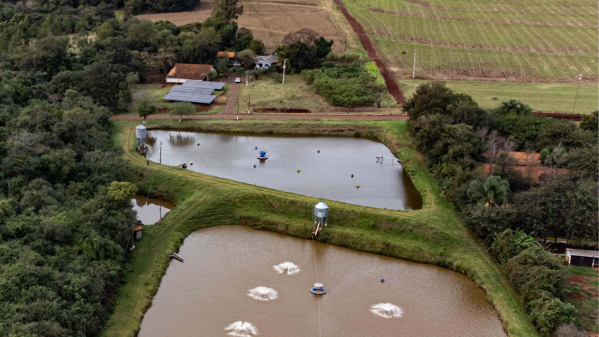 Família de piscicultores do Paraná aposta em energia solar e reduz custo da produção