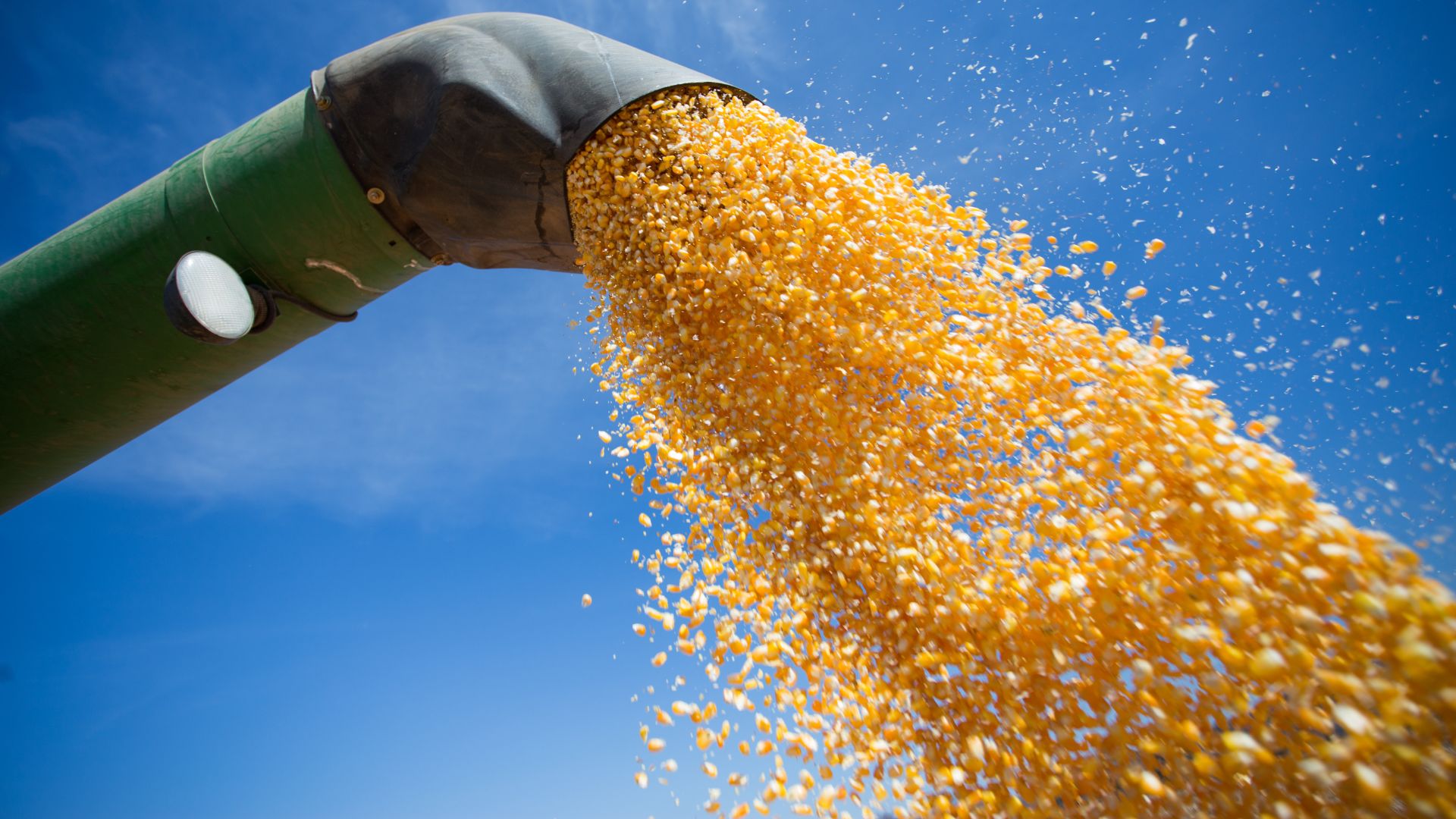 Valor Bruto da Produção da agropecuária deve cair 3,2% e chegar a R$ 1,2 trilhão