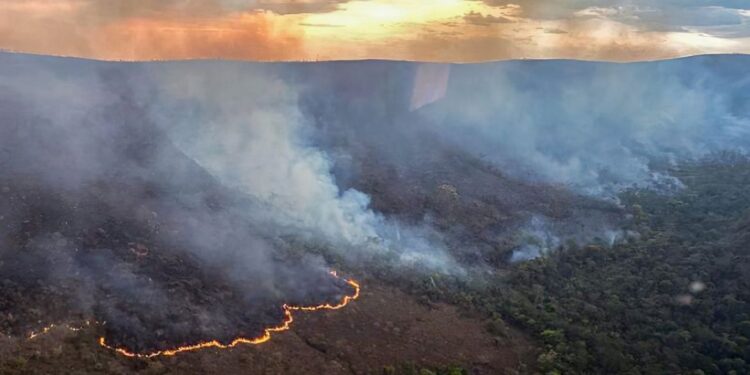 Incêndio na Chapada dos Veadeiros ainda não foi controlado