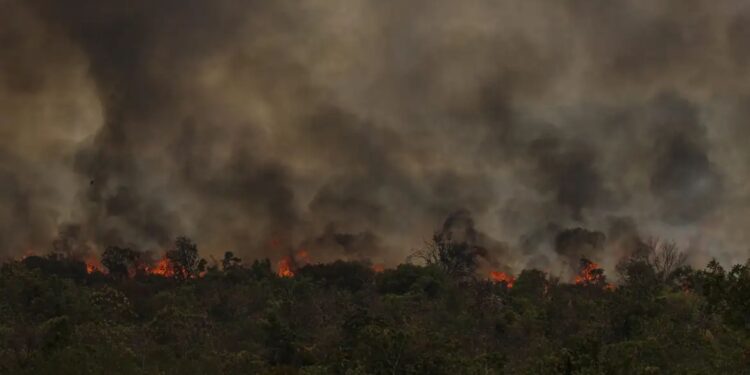 Brasil registra mais de 80 mil focos de incêndio em setembro