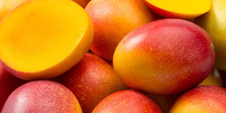 Fruticultura baiana bate recorde e gera R$ 5,7 bilhões em 2023