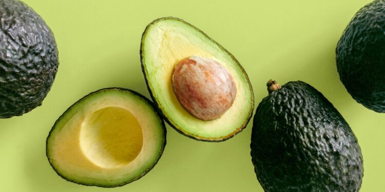 Japão abre mercado para abacate hass do Brasil