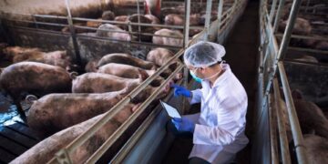 Dia do Médico Veterinário: quase 60% dos profissionais da área são mulheres no Brasil