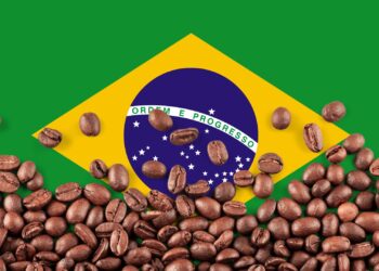 Análise: indicação geográfica valoriza produção em até 300%