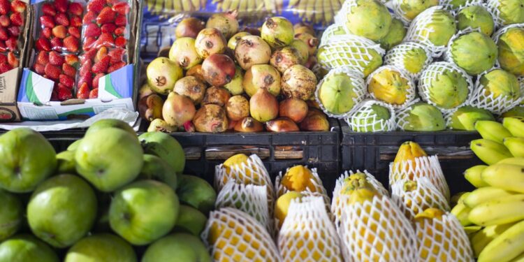 Preços das frutas apresentam alta em agosto