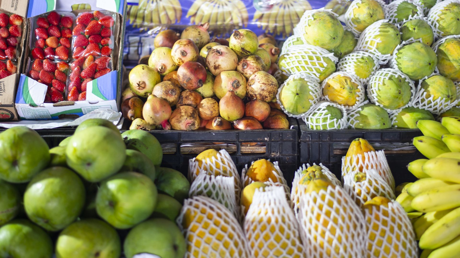 Preços das frutas apresentam alta em agosto