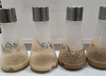 Cientistas da Embrapa encontram alternativa mais barata para a produção de biopesticidas