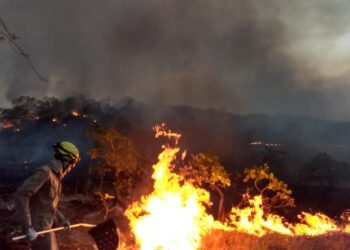 Governo de Goiás cria projeto de combate a incêndios criminosos