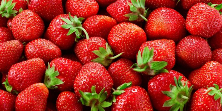 Embrapa e Emater apresentam novas tecnologias na Festa do Morango em Brazlândia (DF)