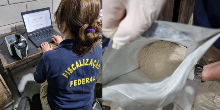 Mapa encerra outubro com quatro operações no combate ao uso de agrotóxicos irregulares