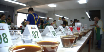 Cup of Excellence define amostras para fase internacional do concurso