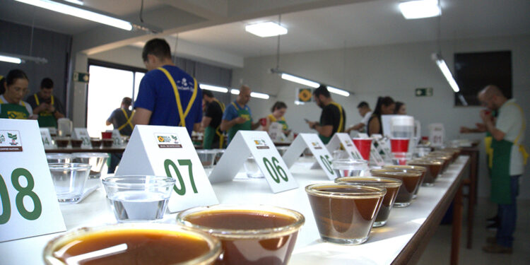 Cup of Excellence define amostras para fase internacional do concurso