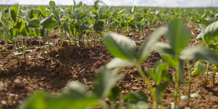 Projeto propõe acesso de cooperativas a fundos públicos de desenvolvimento