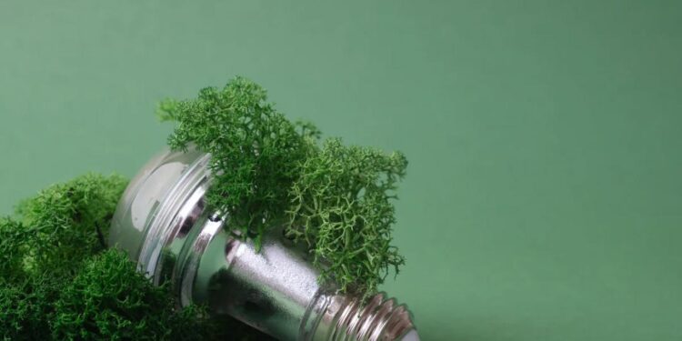 Setor de biomassa cresce 17% e defende mudanças na regulação para ampliar geração de energia