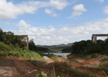 Voto de membro da CVM indica multa de R$ 27 mi a ex-diretor da Vale por tragédia de Brumadinho