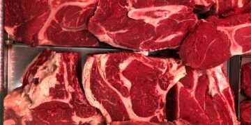 Exportações de carne bovina atingem novo recorde em setembro