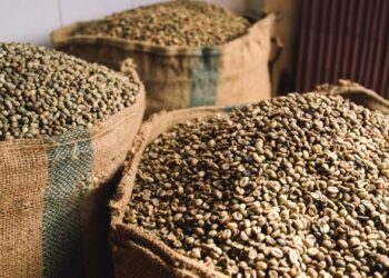 Atraso nos portos deixa mais de 2 mi de sacas de café sem exportação até setembro