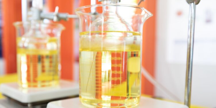 Projeções do PIB da cadeia da soja e do biodiesel para 2024 indicam queda de 5,77%