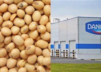 Mapa defende avanços ambientais do Brasil diante de restrições do mercado europeu