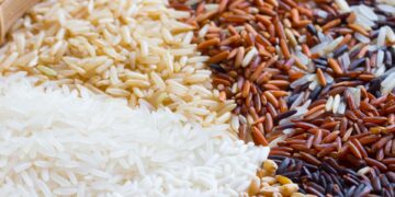 Dia Internacional do Arroz: o grão é alimento básico para mais da metade da população mundial
