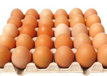 Oferta elevada de ovos menores e baixa demanda mantêm preços em queda