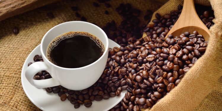 Dia Internacional do Café: conheça os principais tipos de grãos cultivados no Brasil