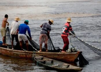MPA e Embrapa iniciam projeto de monitoramento da pesca artesanal brasileira