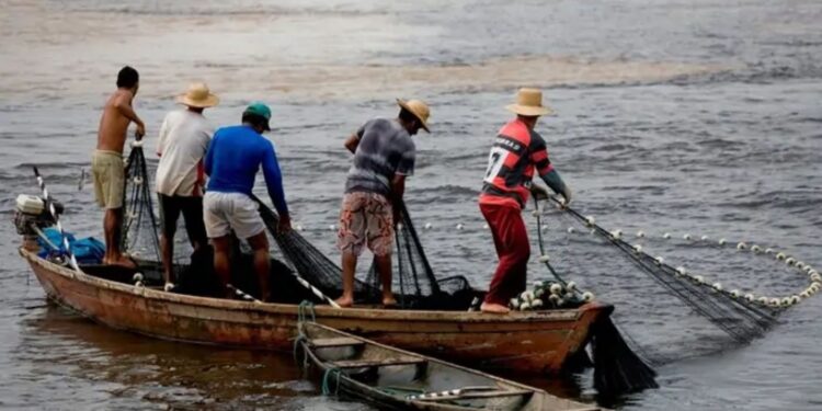 MPA e Embrapa iniciam projeto de monitoramento da pesca artesanal brasileira