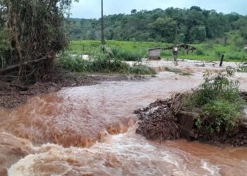 Publicada portaria que regulamenta descontos em novas operações de crédito rural para produtores gaúchos