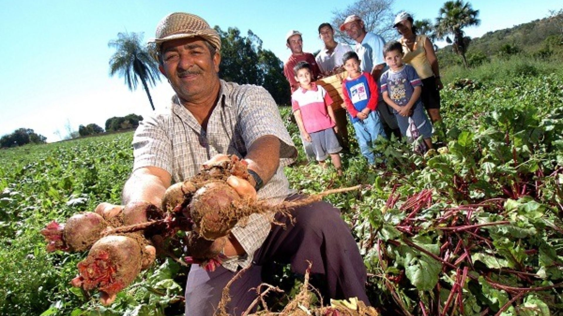 Comissão aprova projeto que incentiva venda de produtos da agricultura familiar