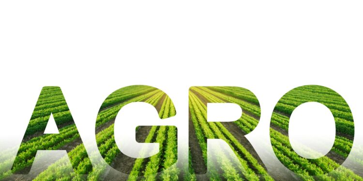 Veja os 100 municípios mais ricos do agronegócio em 2023