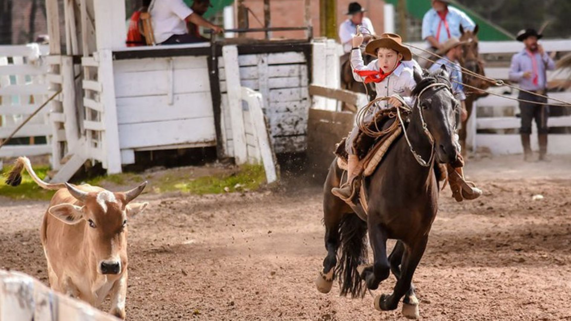 Rodeio Crioulo é reconhecido por lei como cultura popular