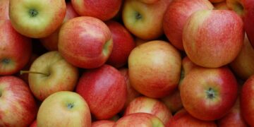 Dia Internacional da maçã: a fruta está entre as três mais consumidas no Brasil