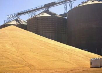 Conab dobra investimentos da Rede de Armazéns da estatal