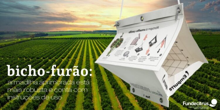 Nova armadilha aprimora o controle do bicho-furão em pomares brasileiros