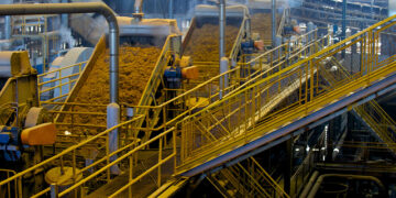 Moagem da cana-de-açúcar aumenta 2,75% na região Centro-Sul