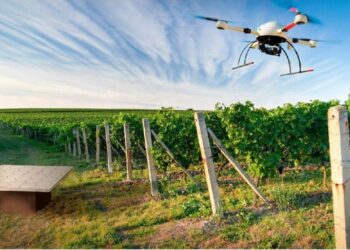 Mapa deve rever regras para registro de operadores e entidades de ensino de aviação agrícola