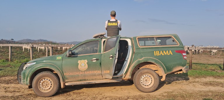 Ibama realiza operação contra cadeia de criação de gado em áreas desmatadas