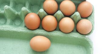 Indústria de ovos bate recorde com projeção de 56,900 bilhões de unidades produzidas em 2024