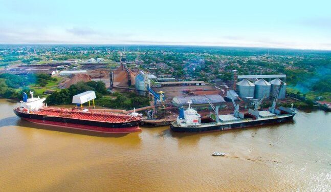 Brasil e China lançam plataforma para facilitar importação de biofertilizantes