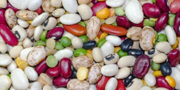 Brasília recebe fórum dedicado à cadeia produtiva do feijão