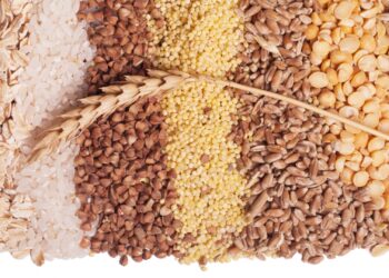 Estimativa da produção agrícola de 2024 indica queda de 6,4% em relação ao ano anterior