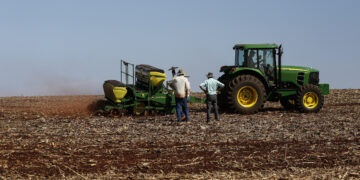 Estimativa da produção agrícola de 2024 indica queda de 6,4% em relação ao ano anterior