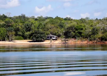 Apesar de chuvas aumentarem a cota do Rio Negro, Amazonas ainda enfrenta estiagem