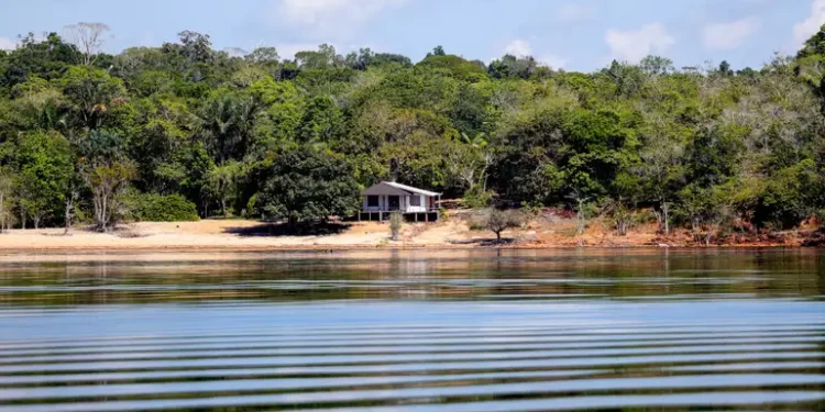 Apesar de chuvas aumentarem a cota do Rio Negro, Amazonas ainda enfrenta estiagem