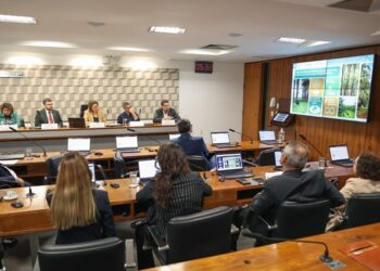 Representante da CNA fala no Senado sobre contribuições do agro para o cumprimento das metas