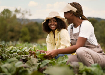 Projeto que prevê regras de controle sanitário para produtos da agricultura familiar é aprovado