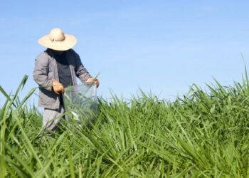 Conab participa de oficina de incentivo à agricultura familiar